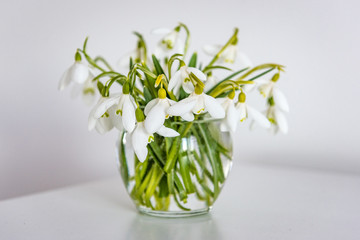 spring flowers in a vase on light table in white room
