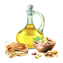 Peanut products butter, oil and nuns. Hand drawn watercolor