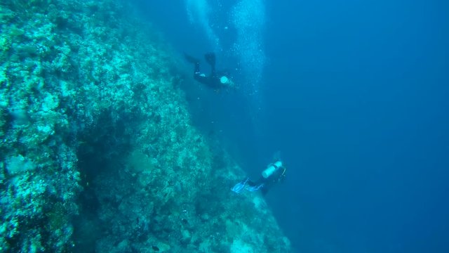 A group of scuba divers dives to the depth along the steep slope of the coral reef, Indian Ocean, Maldives
