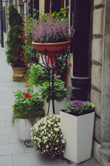 Colourful street in the Old town in Warsaw, Poland