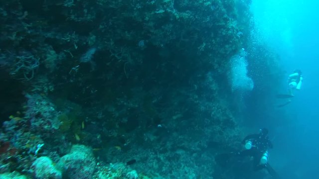 Male scuba diverы swims next a coral reef, Indian Ocean, Maldives
