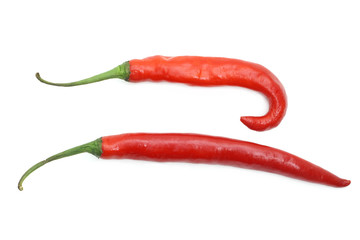 Chili pepper isolated on a white background