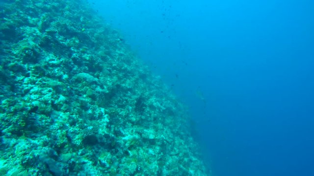 Sailing next a coral reef, Indian Ocean, Maldives
