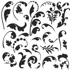 Vector floral. Set of vector silhouettes isolated on white background.