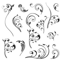 Vector floral. Set of vector silhouettes isolated on white background. - obrazy, fototapety, plakaty