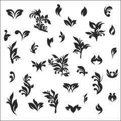 Vector floral. Set of vector silhouettes isolated on white background.