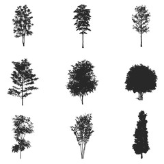 Vector set of tree silhouettes, isolated on white background.