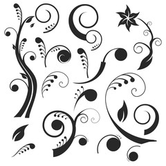 Dreamy flower curves. Set of vector silhouettes isolated on white background.