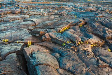 Molten cooled lava landscape
