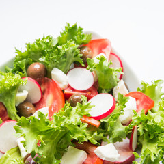 Mozzarella and fresh vegetable salad