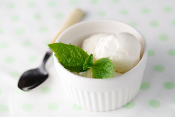 Two scoops of white ice cream - lemon, vanilla or coconut flavor