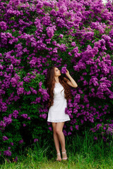 young beautiful girl in spring in a white dress , in the Botanical garden with blooming lilacs ,
