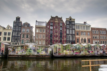 Fototapeta premium Marché aux fleurs amsterdam