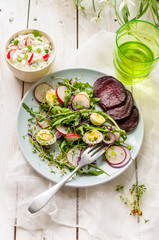spring salad with the beet