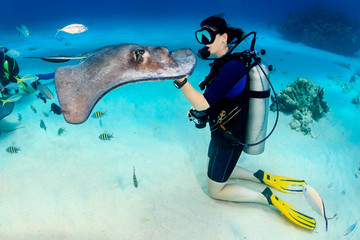 SCUBA diver and a Southern Stingray at Stingray City