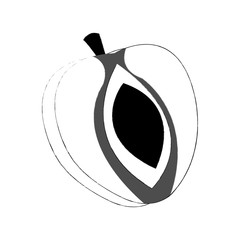 apricot fruit icon image vector illustration design   simple sketch line