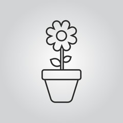 Flower icon