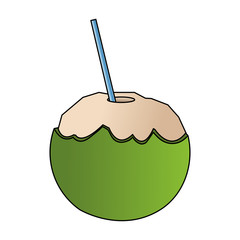 Obraz premium coconut cocktail icon image vector illustration design 