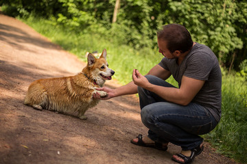 мужчина гуляет с собакой в парке © lufotolab