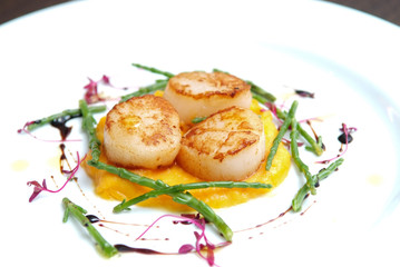 Scallops, creatively arranged food on a white restaurant plate