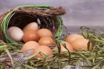 Fresh eggs on a wooden base