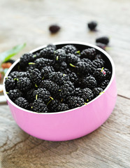 berries black mulberry