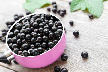 black currant berries