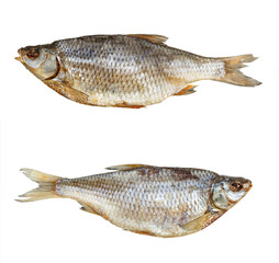 Two sea roaches isolated, top view