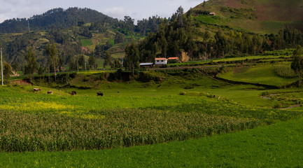 paesaggio andino