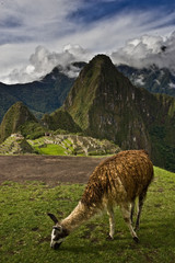 machu picchu