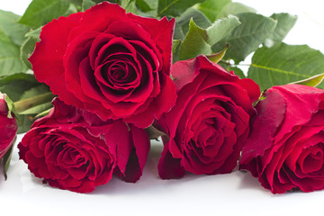 Bouquet of Red Roses