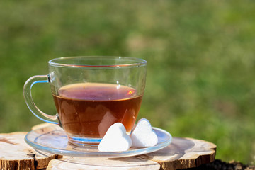 A cup of tea in a transparent mug on a background of nature with sugar