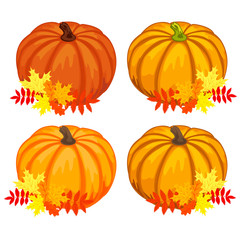 Hello, Autumn. Beautiful ripe pumpkin on a white background