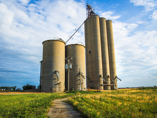 Grain silo concrete agriculture tariffs USA Champaign County Illinois © Leigh Trail