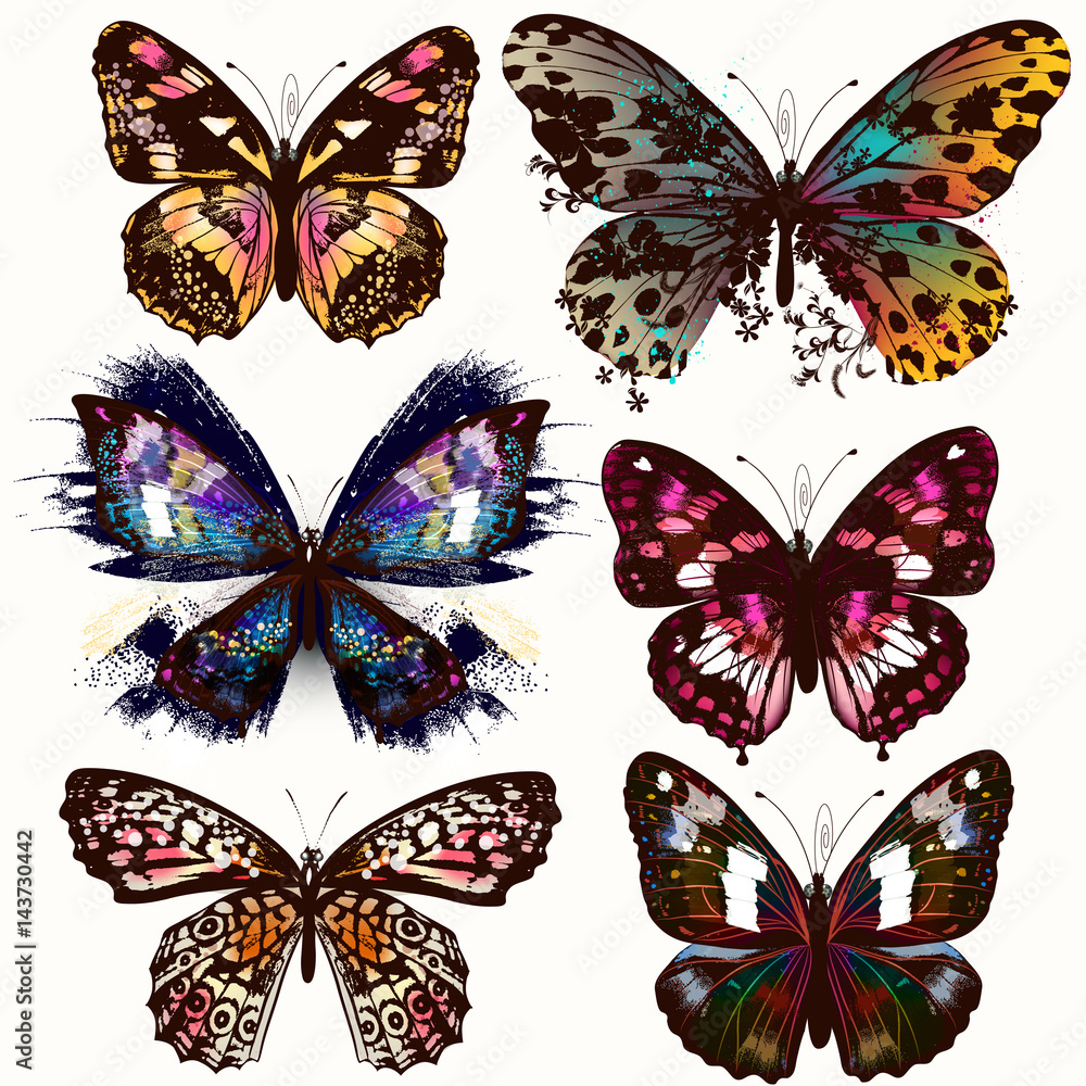 Poster Collection of vector realistic butterflies for design