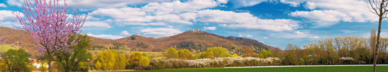 Bergstra&szlig;e mit Schloss Auerbach im Fr&uuml;hling, Hessen