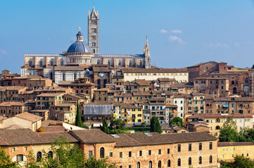 Obraz premium The view of the Cathedral Duomo of Siena and the surrounding houses from the Medici Fortress - Siena, Italy
