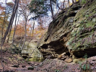 Rocky forest in fall