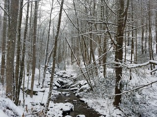 Snowy stream