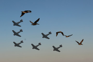 flying