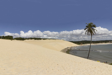 Dunas de Genipabu - Natal, Brasil