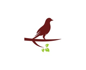 Bird logo
