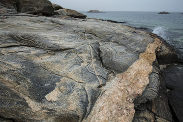 Pink granite intrusion in gray gneiss at Harkness Park, Connecticut.