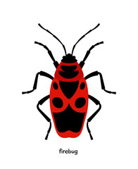 Firebug  - bug with bright color, eating plant juice