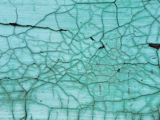 The texture is old cracked paint. Background of mint color.