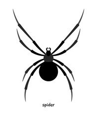 Spider  - small creature that can be quite dangerous