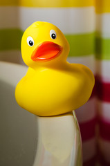 rubber duck toy on a bathtub