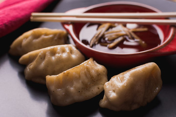 fried pork dumplings