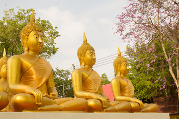 Row of Golden Buddha statue at Wat Wang Ta Ku, Phichit Province, Thailand.