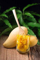 Mango fruit and mango cubes In the glass on the wooden table